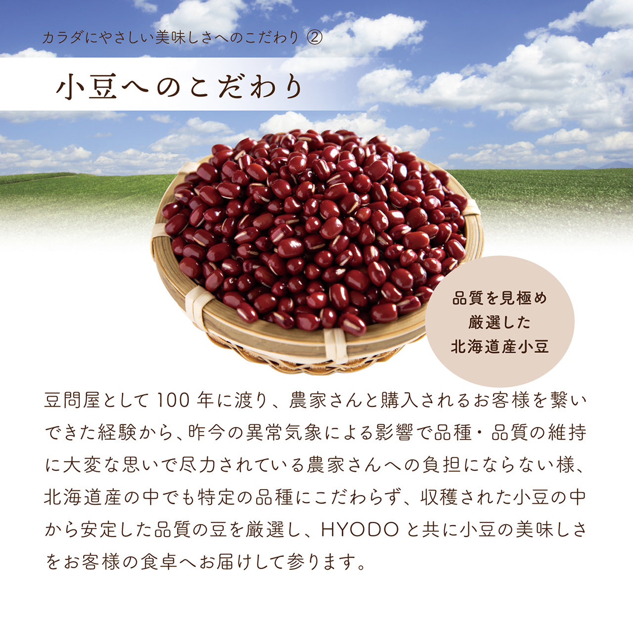 あんがいのち 濾しあん(こしあん)