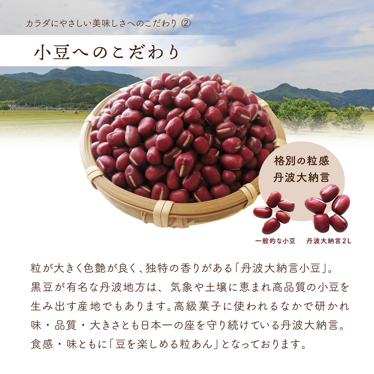 あんがいのち 粒あん(つぶあん)