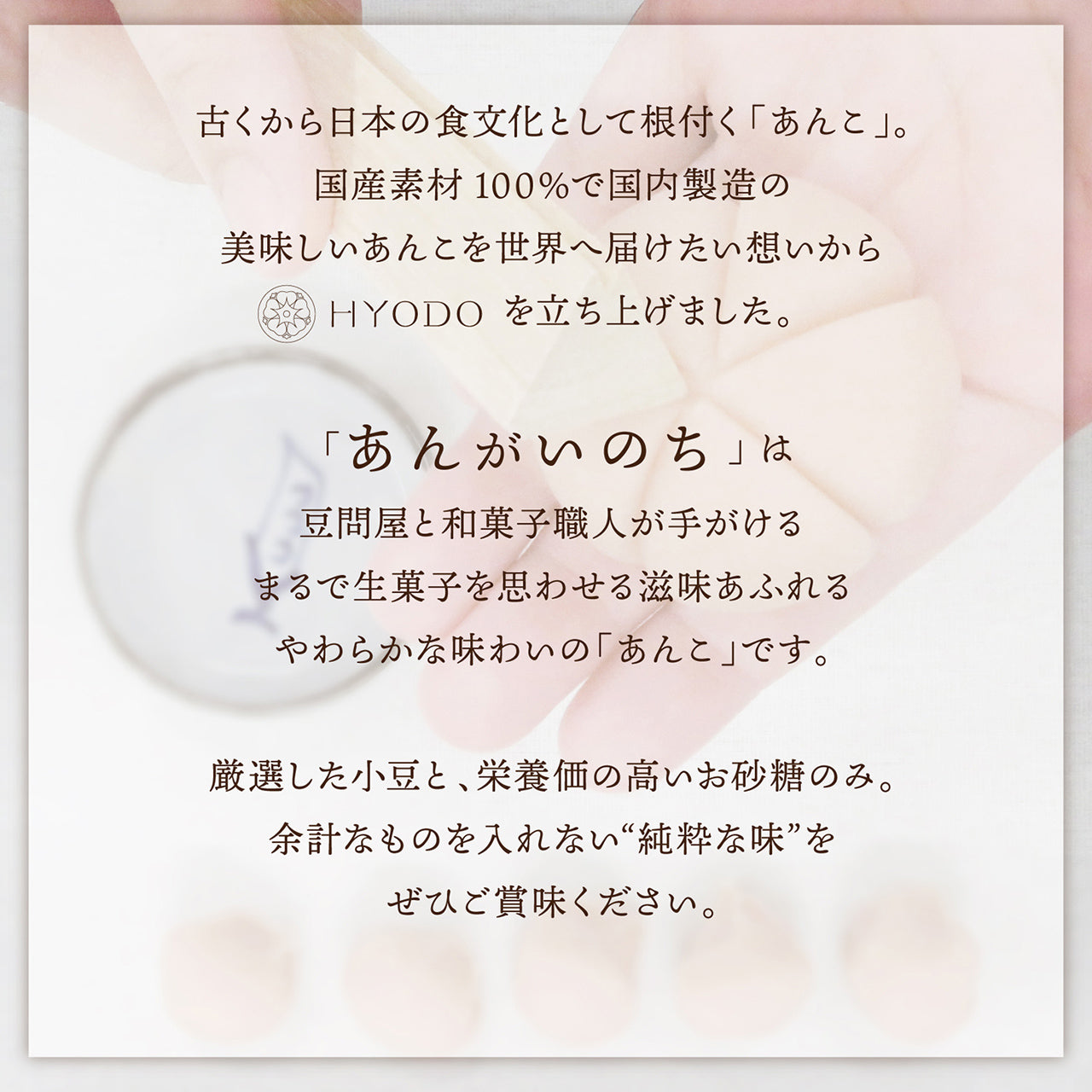 あんがいのち 濾しあん(こしあん)